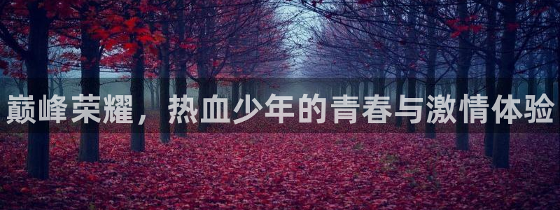 天美娱乐线路测试：巅峰荣耀，热血少年的青春与激情体验