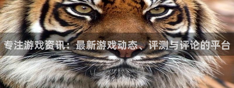 天美娱乐注册官方登录app：专注游戏资讯：最新游戏动态、评测