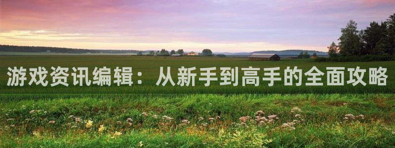 天美娱乐平台负责人：游戏资讯编辑：从新手到高手的全面攻略