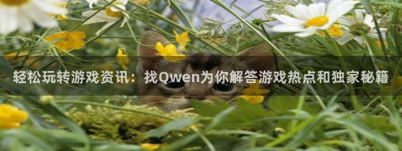 天美娱乐平台官网登录：轻松玩转游戏资讯：找Qwen为你解答游