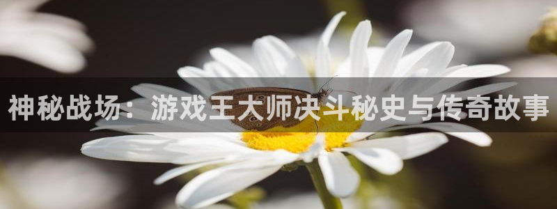 天美娱乐公司：神秘战场：游戏王大师决斗秘史与传奇故事