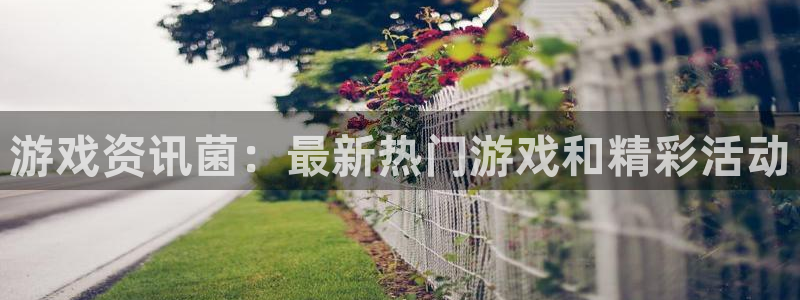 天美娱乐官网首页：游戏资讯菌：最新热门游戏和精彩活动