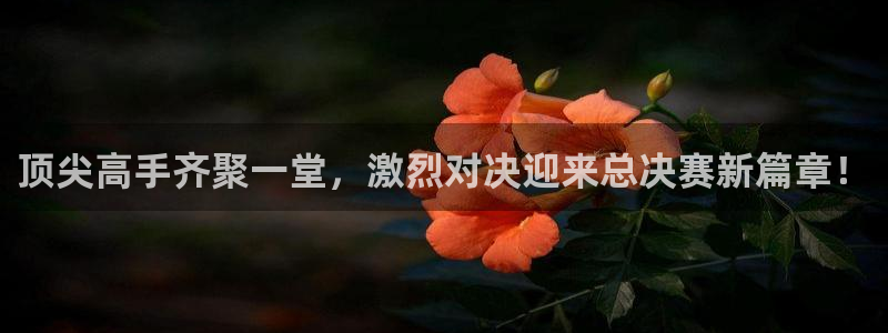天美娱乐平台注册官网：顶尖高手齐聚一堂，激烈对决迎来总决赛新