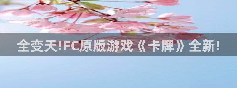 天美娱乐平台登录入口：全变天!FC原版游戏《卡牌》全新!