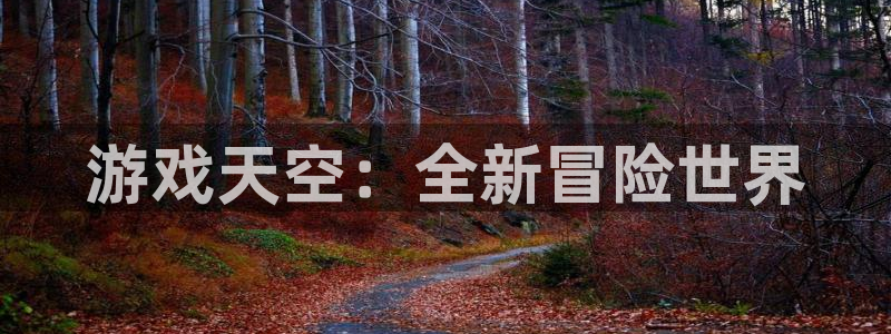 天美娱乐注册地址：游戏天空：全新冒险世界