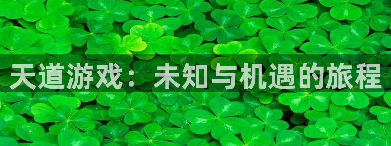 天美娱乐游戏：天道游戏：未知与机遇的旅程